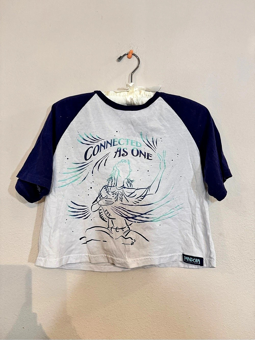 Disney Avatar women’s cropped ringer tee